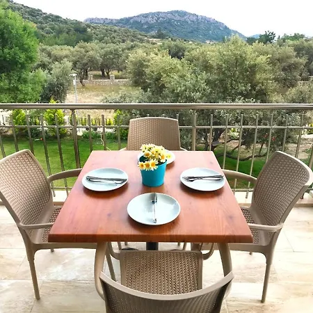 Oliva Casa *
